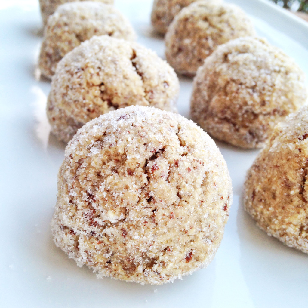 chai spiced cookies {gluten-free, grain-free} | will bake for books