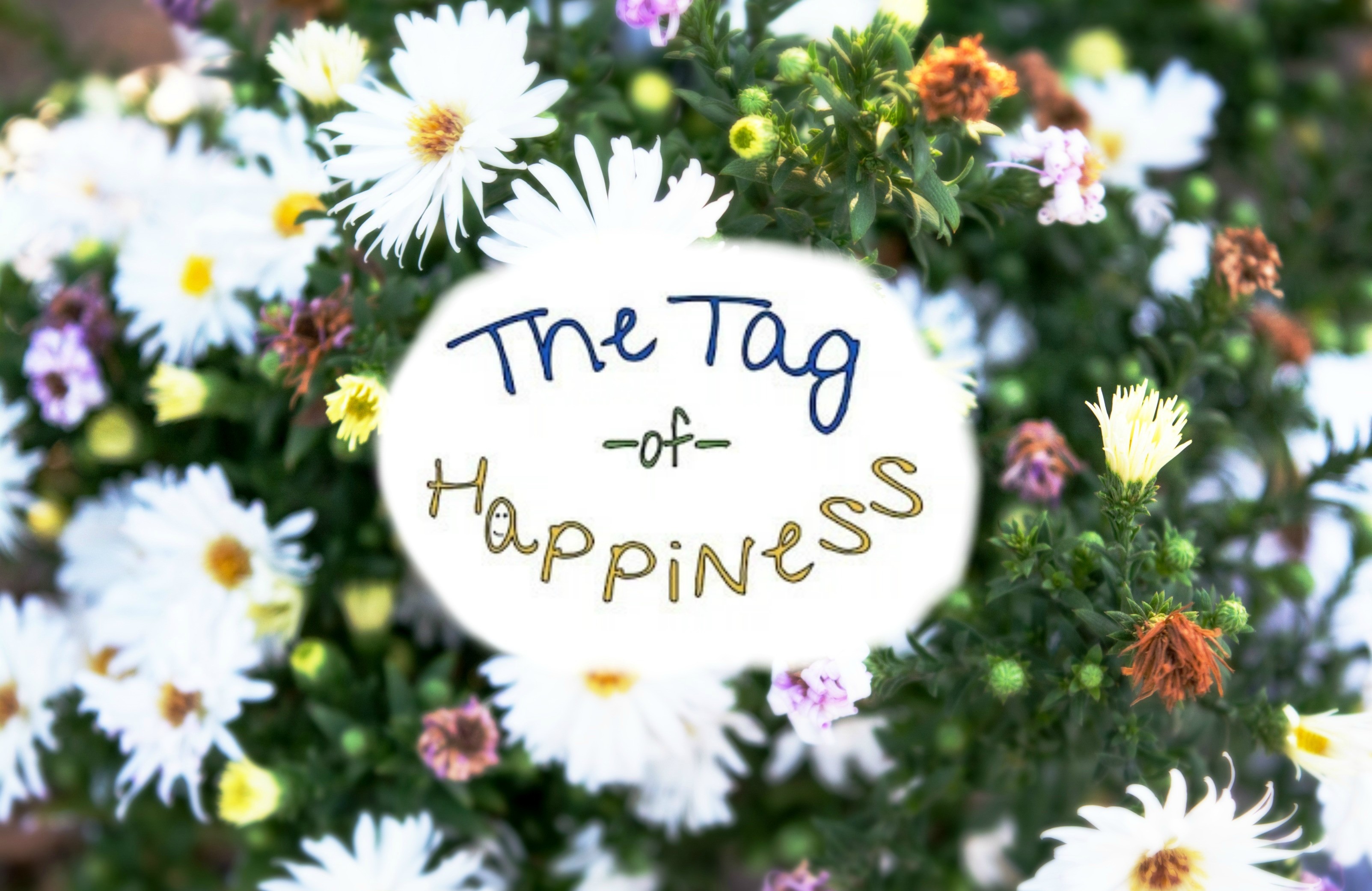 The Tag of Happiness on willbakeforbooks.com